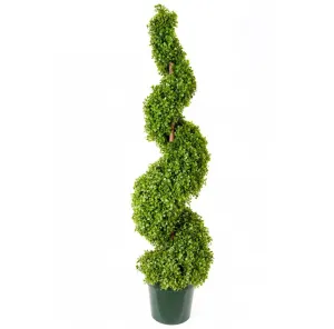 Boxwood Spiral Chunky, 4'