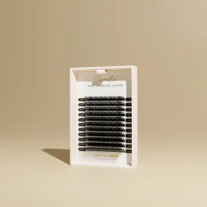 CAMELLIA - EASY FANNING VOLUME LASHES 0.05