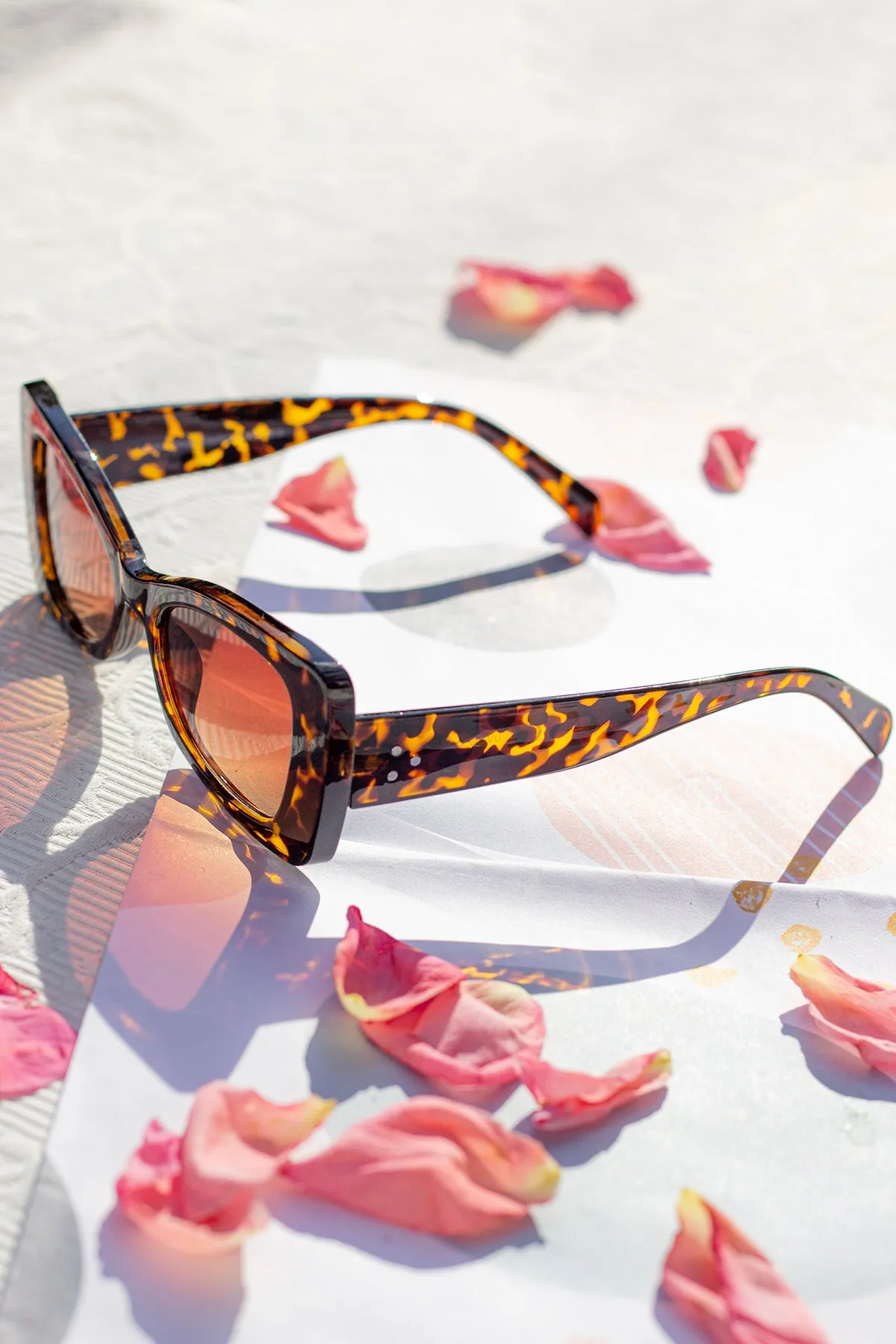 Chunky Triangle Cat Eye Sunglasses