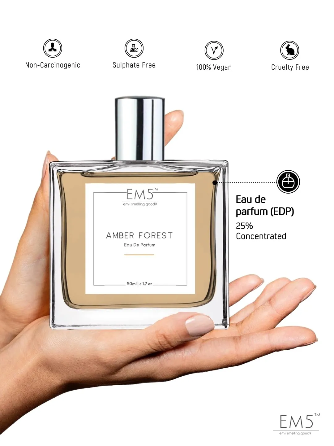 EM5™ Amber Forest Perfume for Men | Amber Woody Warm Spicy Smoky Fragrance | 50 ml Eau de Parfum Spray | Luxury Gift for Him