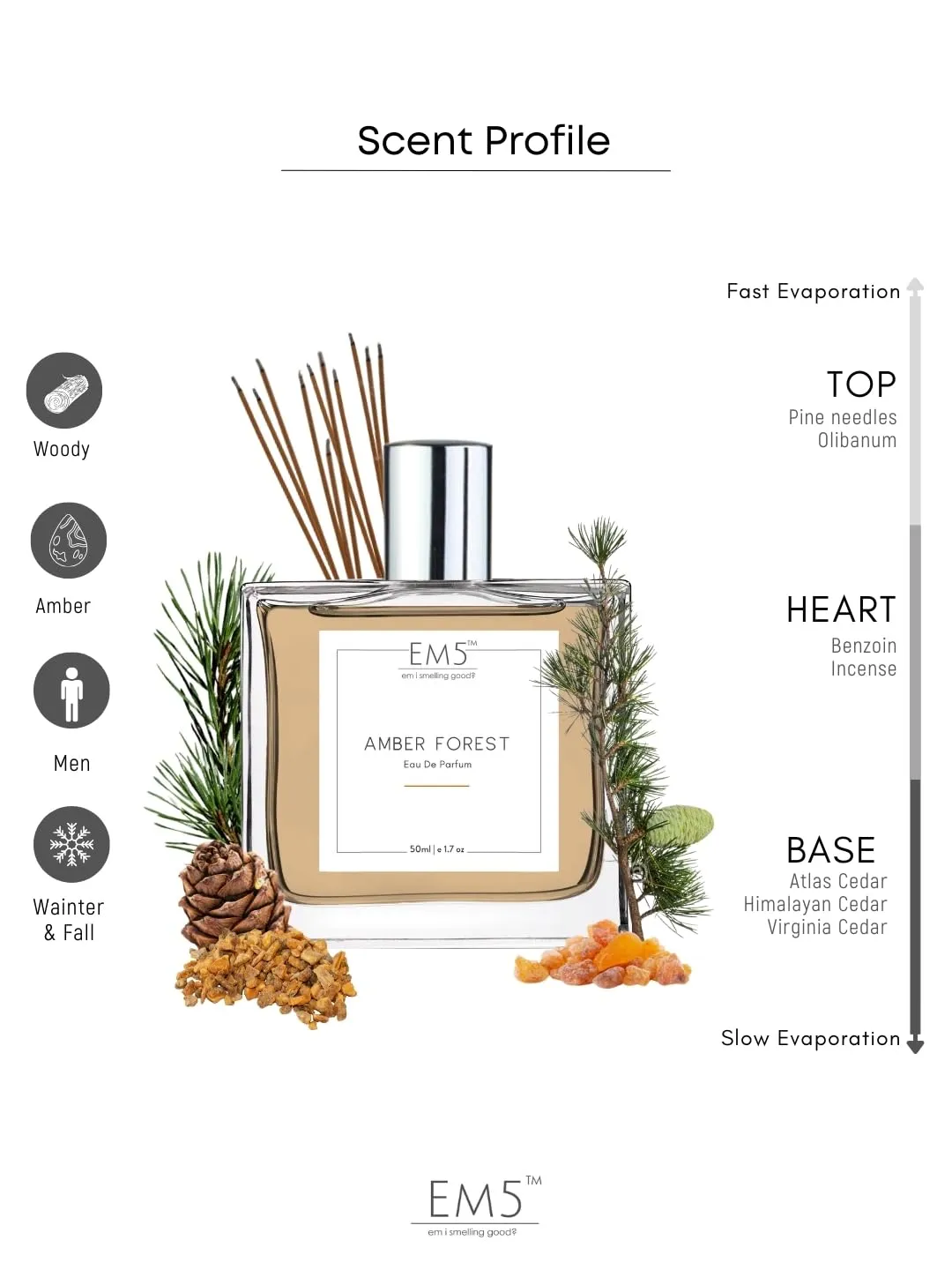 EM5™ Amber Forest Perfume for Men | Amber Woody Warm Spicy Smoky Fragrance | 50 ml Eau de Parfum Spray | Luxury Gift for Him