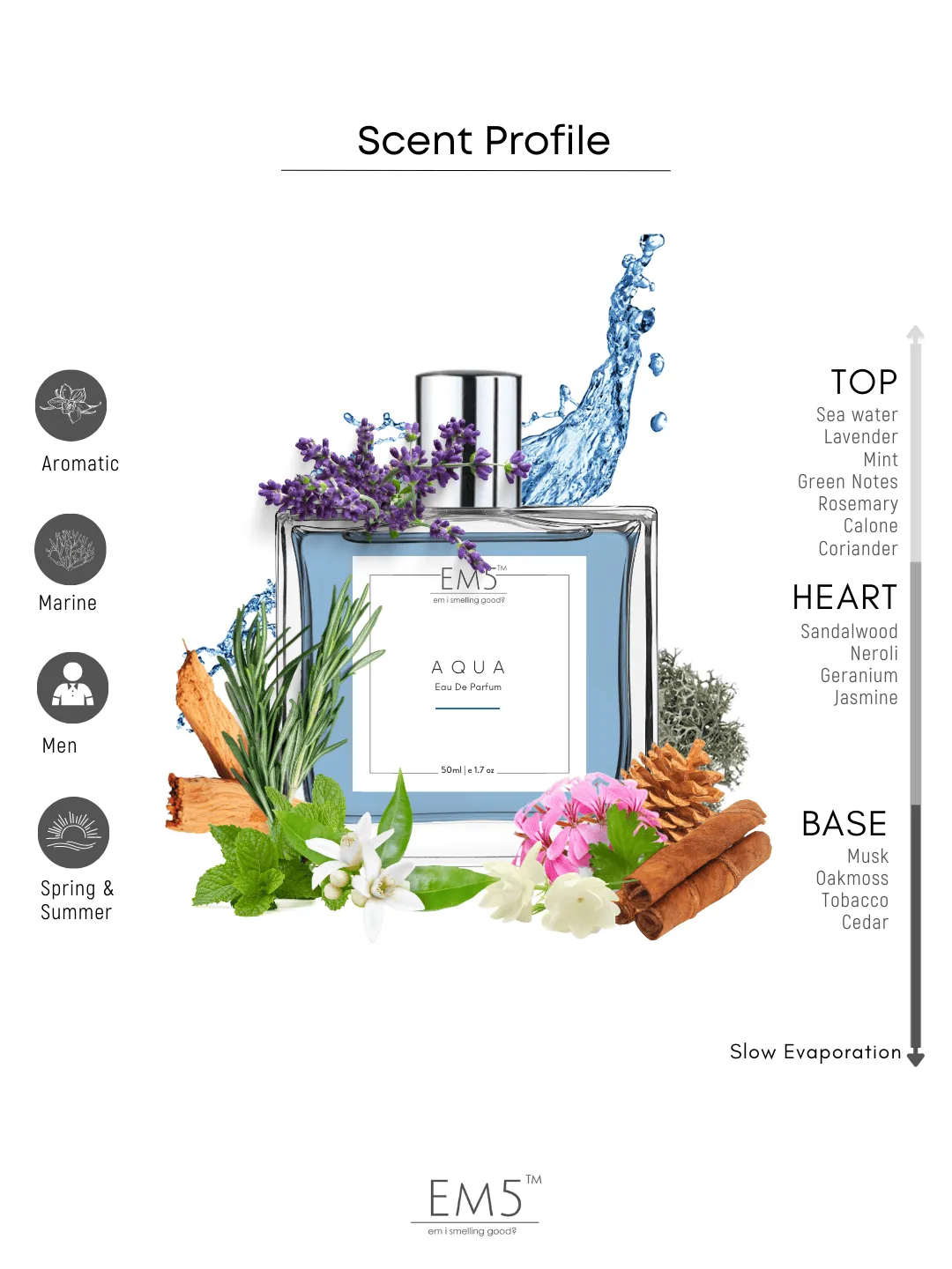 EM5™ Aqua Perfume EDP Spray for Men | Aromatic Fresh Spicy Fragrance Accords | Luxury Gift for Him | Variants Available: 50 ml Spray / 15 ml Spray