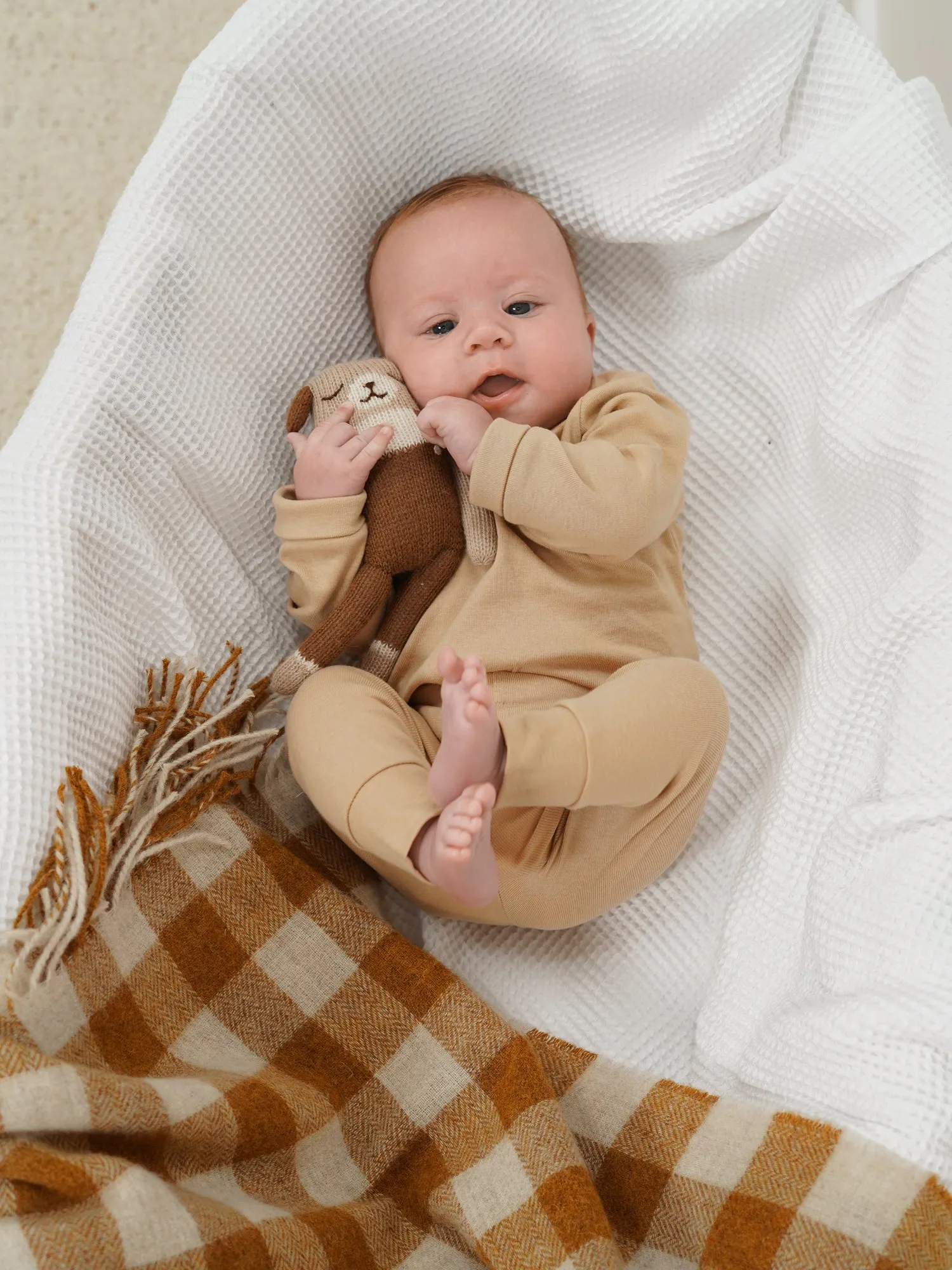 Warm Sand Rib Set