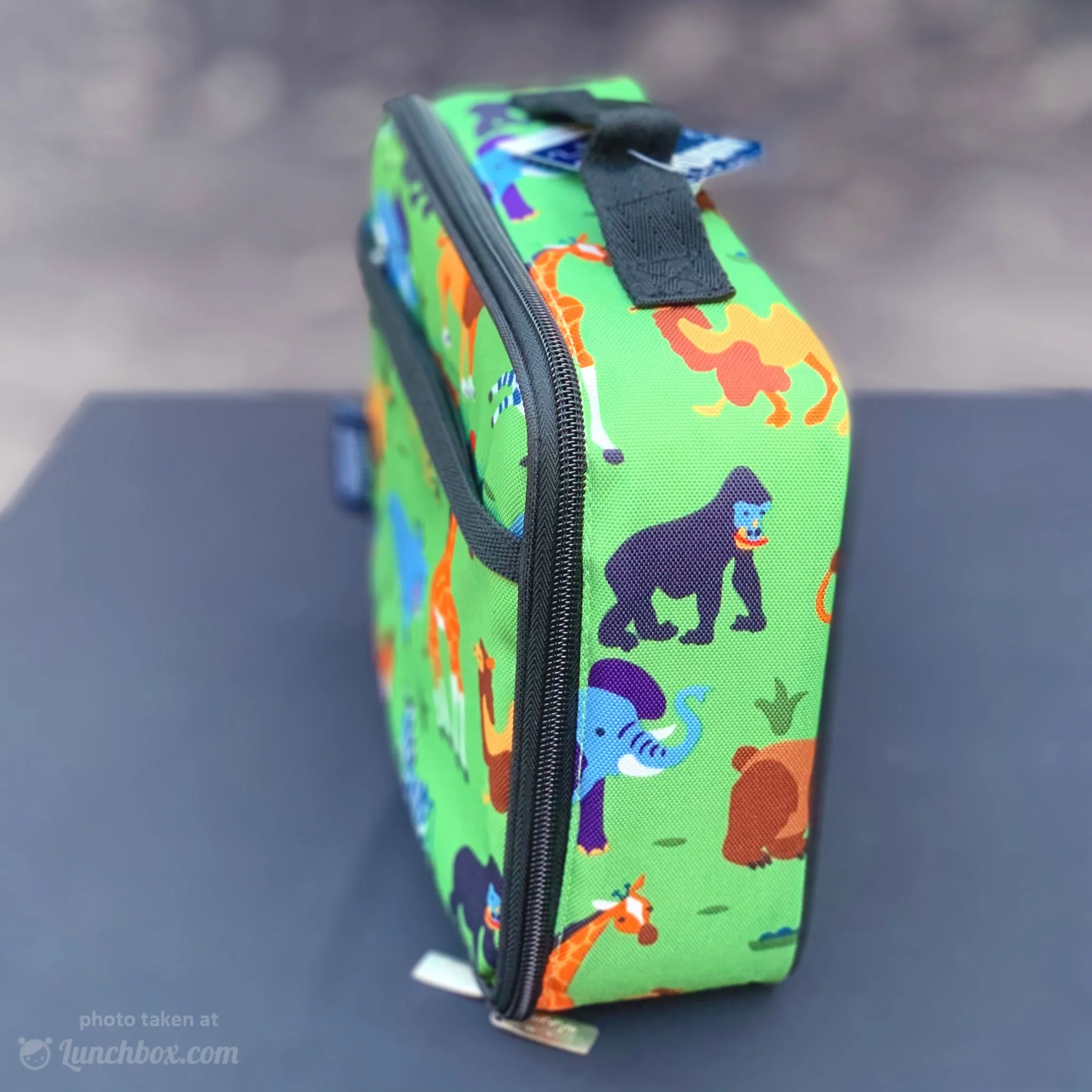Wild Animals Lunchbox